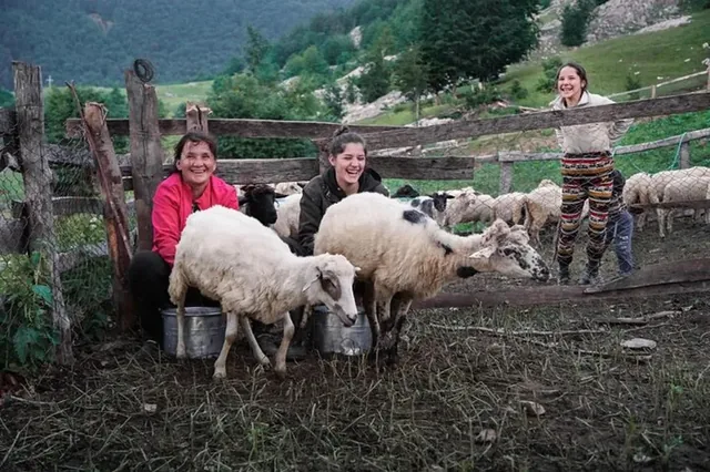 Two days with shepherds in the Albanian Alps